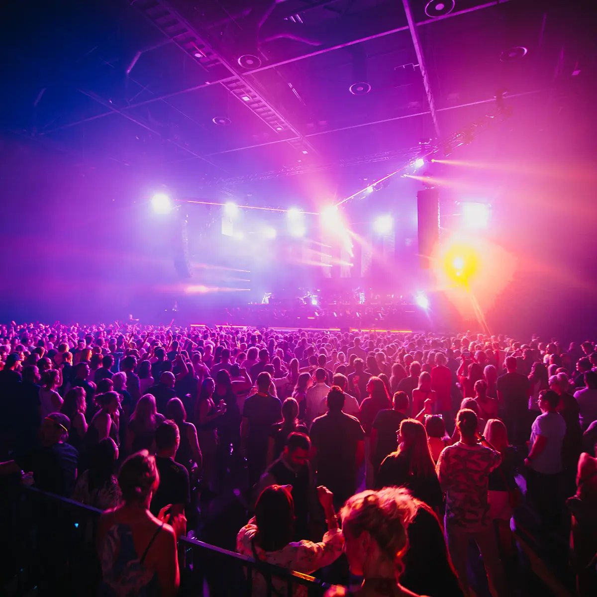 Claudelands Arena Hamilton - 12 December 2020