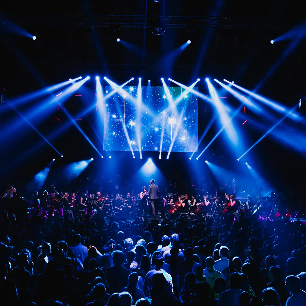 Claudelands Arena Hamilton - 12 October 2019