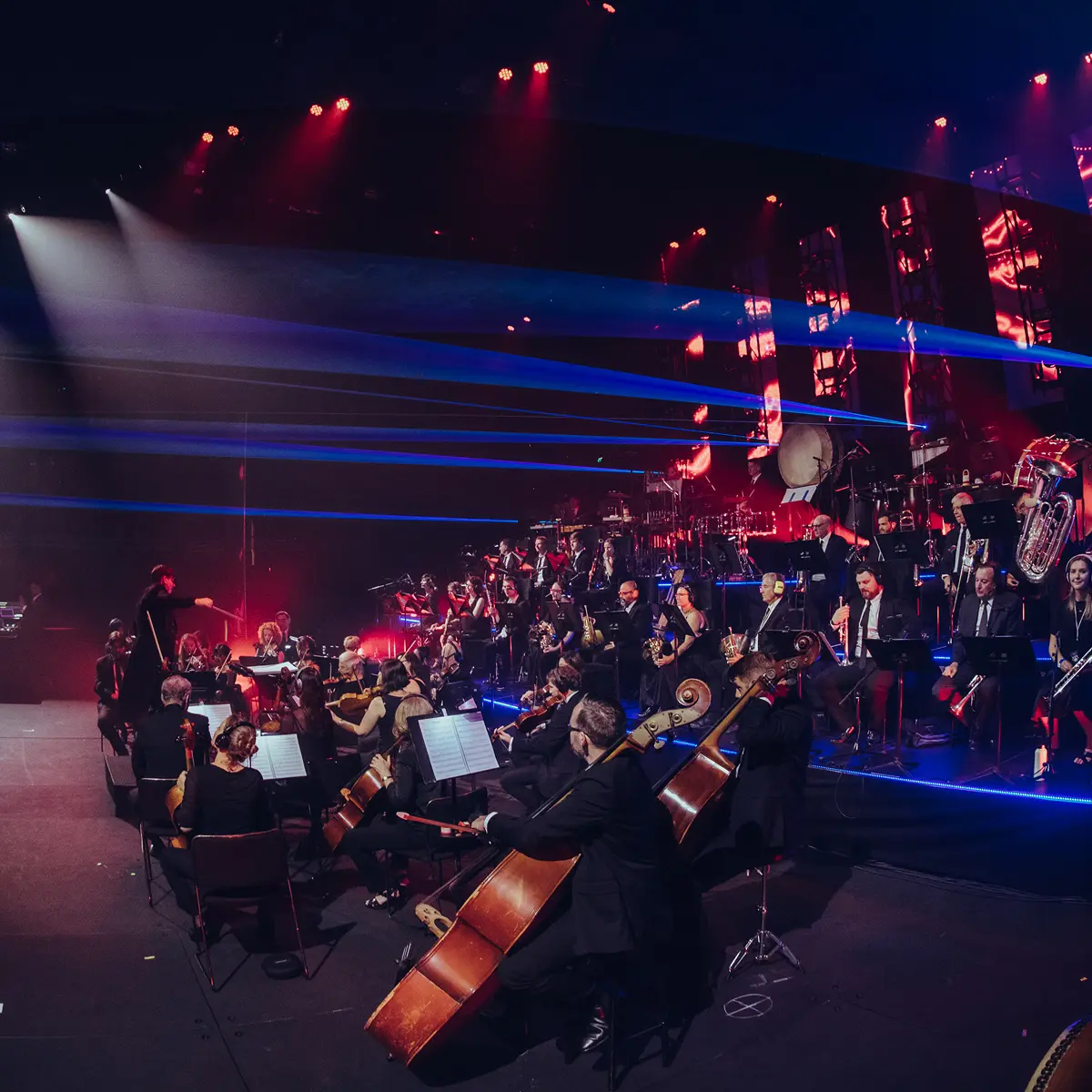 TSB Arena Wellington - 12 February 2021