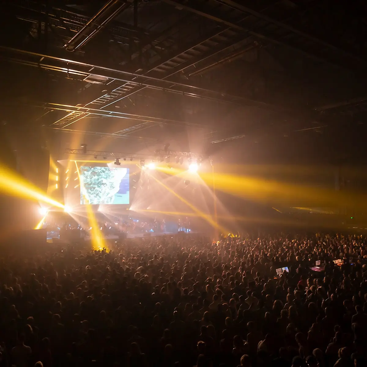 TSB Arena, Wellington - 25 October 2019